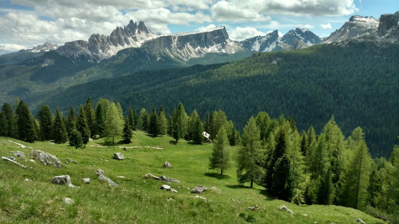 קורטינה ד'אמפזו Hotel Cristallino D'Ampezzo מראה חיצוני תמונה
